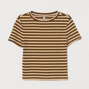 Divided Black and Yellow Striped Crop Top
